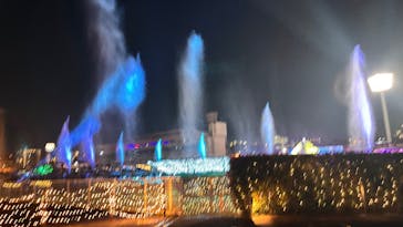 東京メガイルミに投稿された画像（2024/12/15）