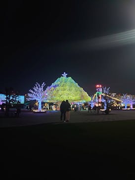 東京メガイルミに投稿された画像（2024/12/15）