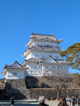 小田原城に投稿された画像（2024/12/15）