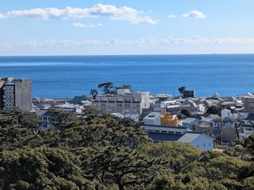 小田原城に投稿された画像（2024/12/15）