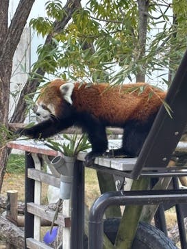 名古屋市東山動植物園に投稿された画像（2024/12/15）