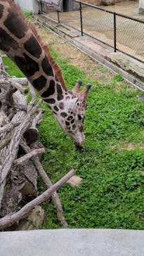 霞ケ浦 どうぶつとみんなのいえに投稿された画像（2024/12/15）