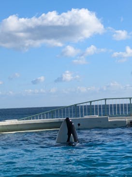 鴨川シーワールドに投稿された画像（2024/12/15）