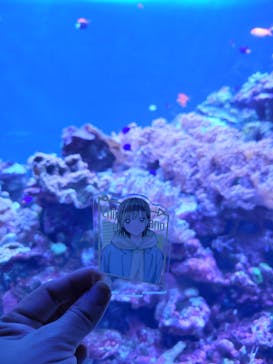 サンシャイン水族館に投稿された画像（2024/12/15）