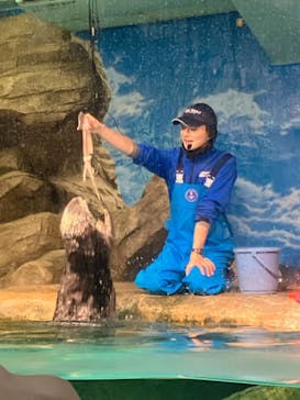 マリンワールド海の中道に投稿された画像（2024/12/15）