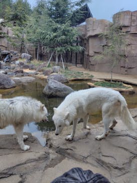 那須どうぶつ王国に投稿された画像（2024/12/15）