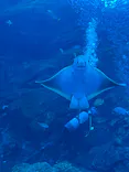 仙台うみの杜水族館に投稿された画像（2024/12/15）