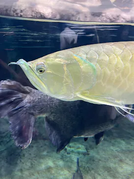 仙台うみの杜水族館に投稿された画像（2024/12/15）
