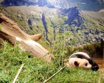 恩賜上野動物園に投稿された画像（2024/12/15）