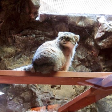 恩賜上野動物園に投稿された画像（2024/12/15）