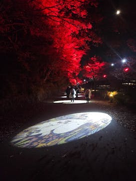 ムーミンバレーパークに投稿された画像（2024/12/15）