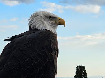 那須どうぶつ王国に投稿された画像（2024/12/15）