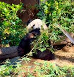 恩賜上野動物園に投稿された画像（2024/12/15）
