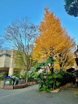 恩賜上野動物園に投稿された画像（2024/12/15）