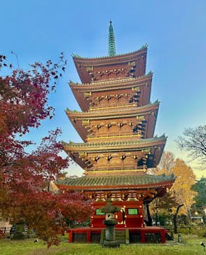 恩賜上野動物園に投稿された画像（2024/12/15）