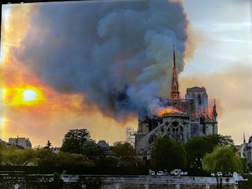 特別展「パリ・ノートルダム大聖堂展 タブレットを手に巡る時空の旅」に投稿された画像（2024/12/15）