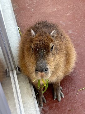 竹島水族館に投稿された画像（2024/12/15）