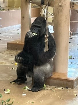 名古屋市東山動植物園に投稿された画像（2024/12/15）