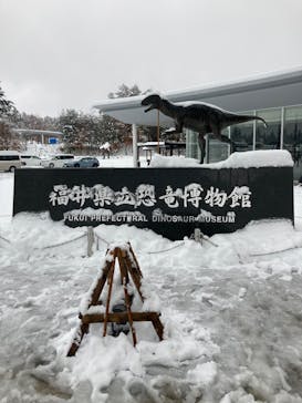 福井県立恐竜博物館に投稿された画像（2024/12/15）