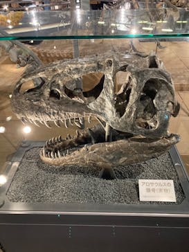 福井県立恐竜博物館に投稿された画像（2024/12/15）