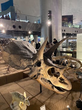 福井県立恐竜博物館に投稿された画像（2024/12/15）