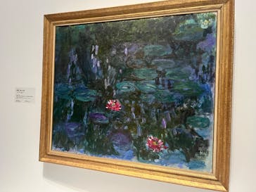 モネ 睡蓮のとき（国立西洋美術館）に投稿された画像（2024/12/15）