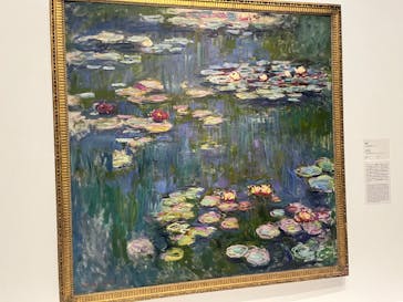 モネ 睡蓮のとき（国立西洋美術館）に投稿された画像（2024/12/15）