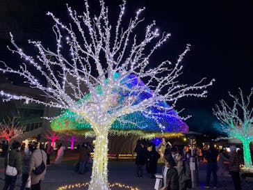 東京メガイルミに投稿された画像（2024/12/15）