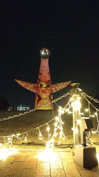 万博記念公園に投稿された画像（2024/12/15）