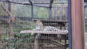 よこはま動物園ズーラシアに投稿された画像（2024/12/15）