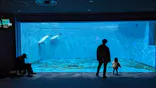 仙台うみの杜水族館に投稿された画像（2024/12/15）