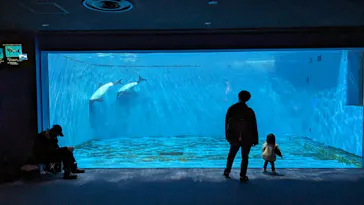 仙台うみの杜水族館に投稿された画像（2024/12/15）