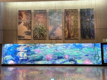 モネ 睡蓮のとき（国立西洋美術館）に投稿された画像（2024/12/15）