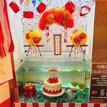 サケのふるさと 千歳水族館に投稿された画像（2024/12/15）