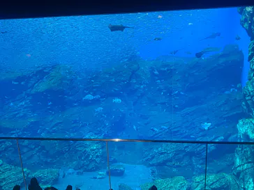 仙台うみの杜水族館に投稿された画像（2024/12/15）