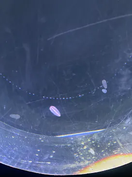 仙台うみの杜水族館に投稿された画像（2024/12/15）