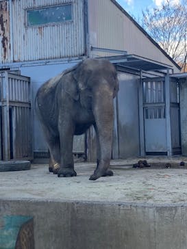 宇都宮動物園に投稿された画像（2024/12/15）