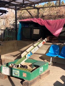 宇都宮動物園に投稿された画像（2024/12/15）