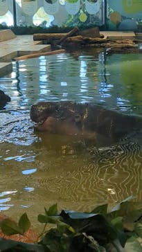 NIFREL（ニフレル）に投稿された画像（2024/12/15）