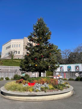 西武園ゆうえんちに投稿された画像（2024/12/15）