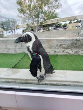 マリンワールド海の中道に投稿された画像（2024/12/15）