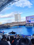 名古屋港水族館に投稿された画像（2024/12/15）
