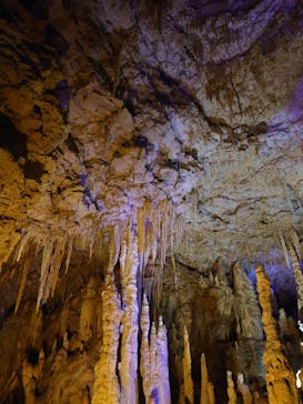 おきなわワールドに投稿された画像（2024/12/15）