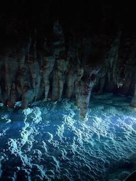 おきなわワールドに投稿された画像（2024/12/15）