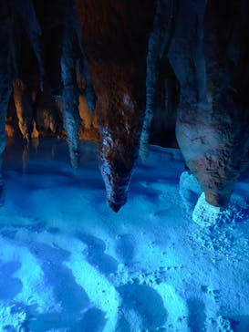 おきなわワールドに投稿された画像（2024/12/15）