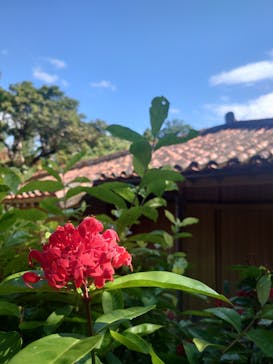 おきなわワールドに投稿された画像（2024/12/15）