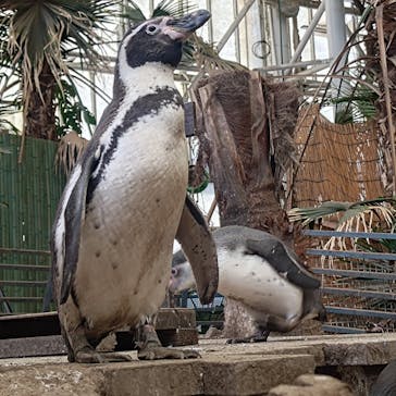 ゼロ距離水族館 伊勢シーパラダイスに投稿された画像（2024/12/15）