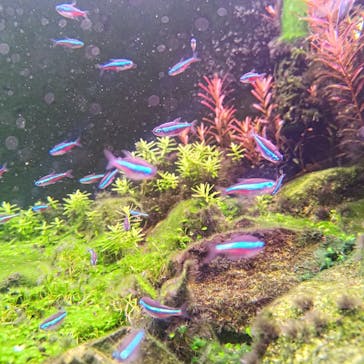 ゼロ距離水族館 伊勢シーパラダイスに投稿された画像（2024/12/15）