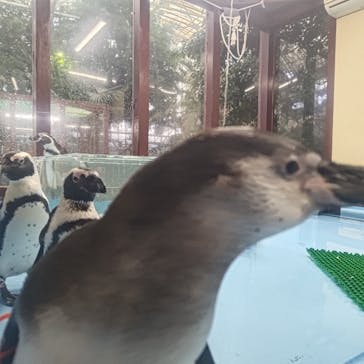 ゼロ距離水族館 伊勢シーパラダイスに投稿された画像（2024/12/15）