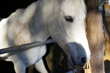 まかいの牧場に投稿された画像（2024/12/15）